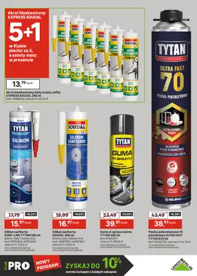 Leroy Merlin - gazetka promocyjna Okazje dla PROfesjonalistów od wtorku 24.03 do poniedziałku 06.04 - strona 29