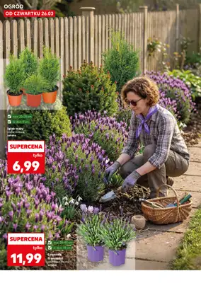Kaufland - gazetka promocyjna Oferta Kaufland - Ogród od czwartku 26.03 do wtorku 31.03 - strona 10