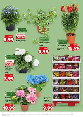 Kaufland - gazetka promocyjna Oferta Kaufland - Ogród od czwartku 26.03 do wtorku 31.03 - strona 11