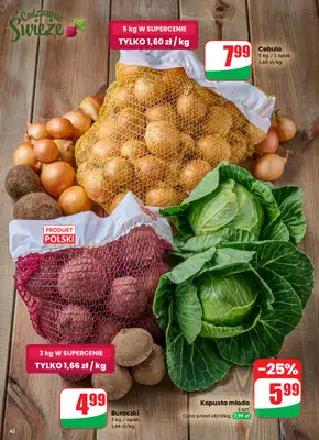 Dino - gazetka promocyjna Gazetka 13 / 2026 od środy 25.03 do wtorku 31.03 - strona 42