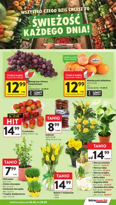 Intermarche - gazetka promocyjna Gazetka od czwartku 26.03 do poniedziałku 30.03 - strona 15