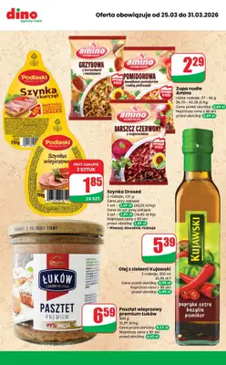 Dino - gazetka promocyjna MEGA promocje! od środy 25.03 do wtorku 31.03 - strona 10