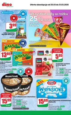 Dino - gazetka promocyjna MEGA promocje! od środy 25.03 do wtorku 31.03 - strona 9