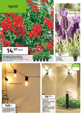 Leroy Merlin - gazetka promocyjna Gazetka Nowy ogród i wiele więcej od środy 25.03 do wtorku 21.04 - strona 8