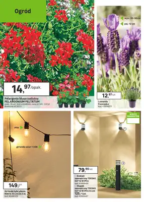 Leroy Merlin - gazetka promocyjna Gazetka Nowy ogród i wiele więcej od środy 25.03 do wtorku 21.04 - strona 8