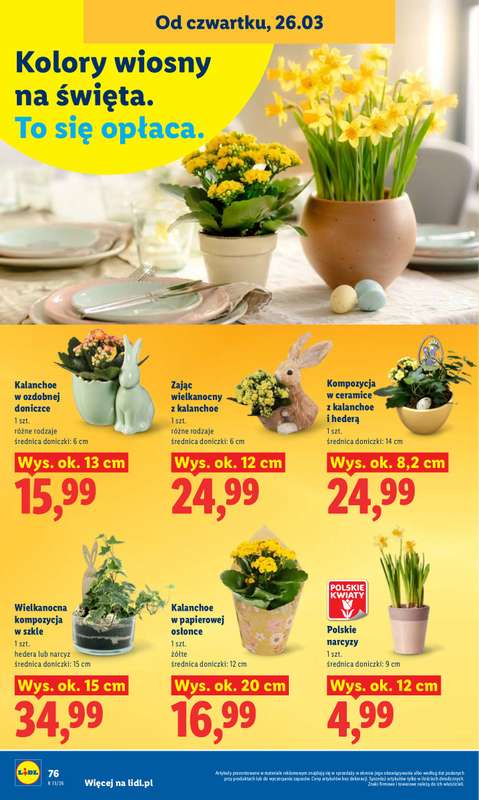 Lidl - gazetka promocyjna Oferta od czwartku od czwartku 26.03 do niedzieli 29.03 - strona 76