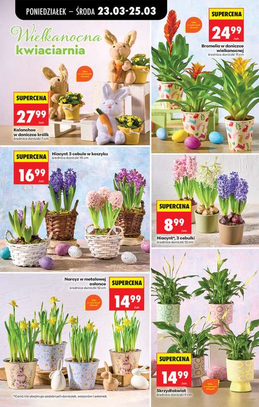 Biedronka - gazetka promocyjna Od poniedziałku, Z ladą tradycyjną od poniedziałku 23.03 do niedzieli 29.03 - strona 13