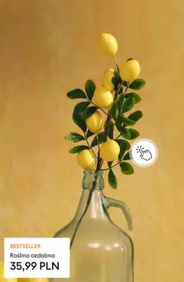 Sinsay - gazetka promocyjna Tuscan Reverie - cytrynowa kolekcja od środy 25.03  - strona 4