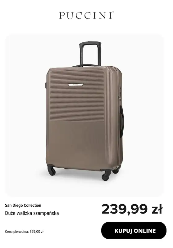 BEST SALE - gazetka promocyjna Puccini | dodatkowe -30% na wybrane produkty od środy 25.03 do wtorku 31.03 - strona 2