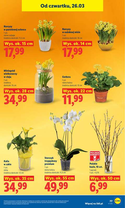 Lidl - gazetka promocyjna Oferta od czwartku od czwartku 26.03 do niedzieli 29.03 - strona 77