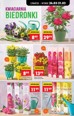 Biedronka - gazetka promocyjna Od czwartku, Z ladą tradycyjną od czwartku 26.03 do wtorku 31.03 - strona 83