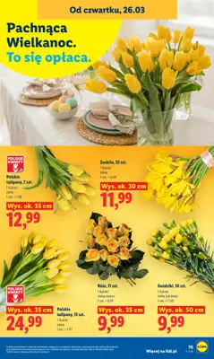 Lidl - gazetka promocyjna Oferta od czwartku od czwartku 26.03 do niedzieli 29.03 - strona 75