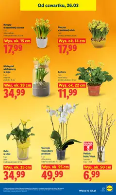 Lidl - gazetka promocyjna Oferta od czwartku od czwartku 26.03 do niedzieli 29.03 - strona 77