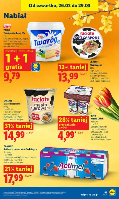 Lidl - gazetka promocyjna Oferta od czwartku od czwartku 26.03 do niedzieli 29.03 - strona 43