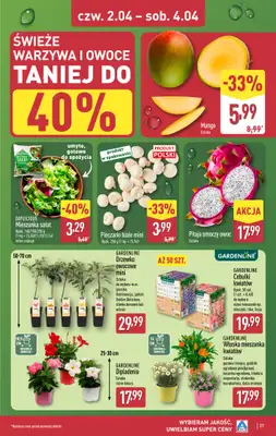 Aldi - gazetka promocyjna Pełny katalog! od poniedziałku 30.03 do soboty 04.04 - strona 37