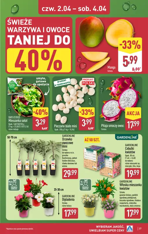 Aldi - gazetka promocyjna Pełny katalog! od poniedziałku 30.03 do soboty 04.04 - strona 37