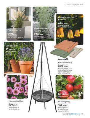 Castorama - gazetka promocyjna Stylowe ogrody od czwartku 26.03 do niedzieli 31.05 - strona 11