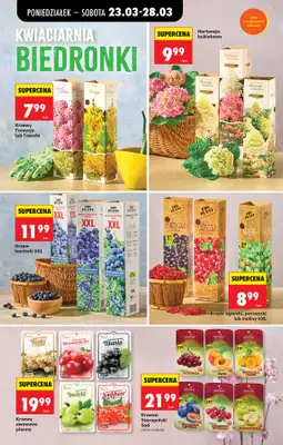 Biedronka - gazetka promocyjna Od poniedziałku od poniedziałku 23.03 do niedzieli 29.03 - strona 16