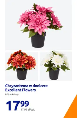 Action - gazetka promocyjna Wielkanoc w najniższej cenie! od czwartku 26.03 do wtorku 31.03 - strona 14