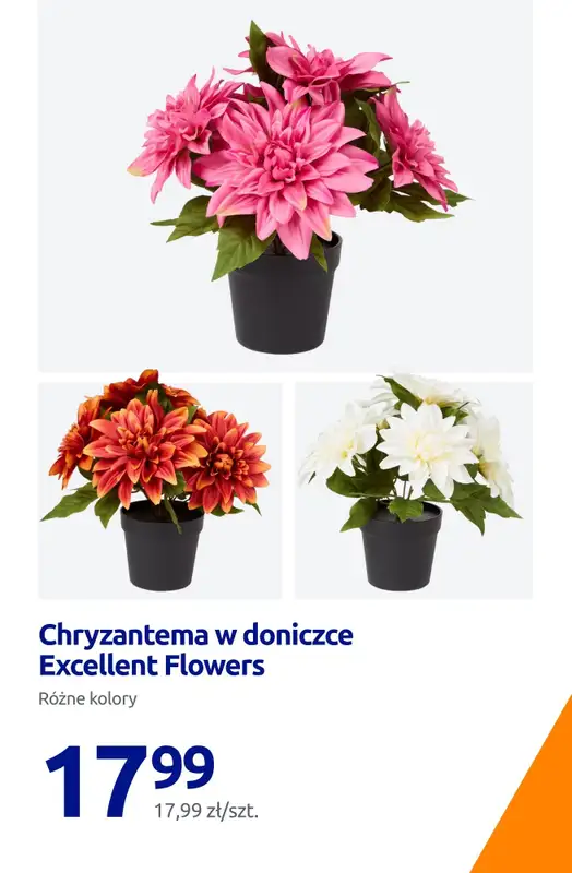 Action - gazetka promocyjna Wielkanoc w najniższej cenie! od czwartku 26.03 do wtorku 31.03 - strona 14