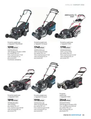 Castorama - gazetka promocyjna Kosiarki od piątku 27.03 do wtorku 31.03 - strona 15