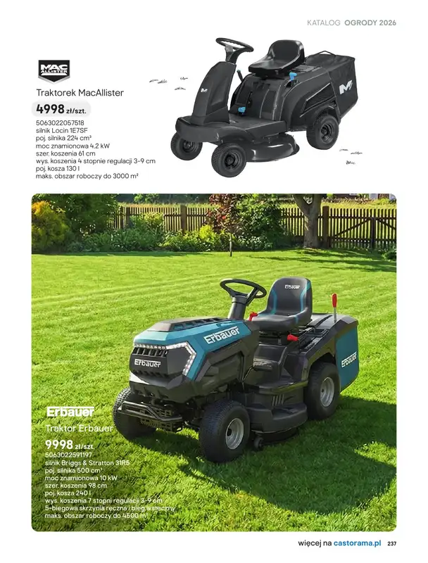 Castorama - gazetka promocyjna Kosiarki od piątku 27.03 do wtorku 31.03 - strona 17