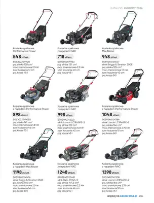 Castorama - gazetka promocyjna Kosiarki od piątku 27.03 do wtorku 31.03 - strona 13