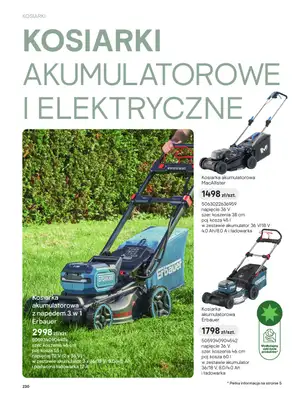 Castorama - gazetka promocyjna Kosiarki od piątku 27.03 do wtorku 31.03 - strona 10