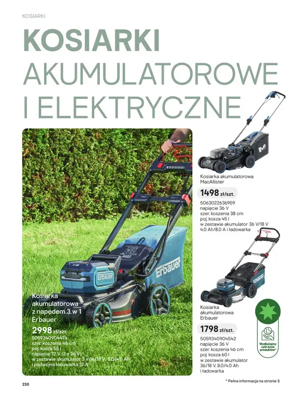 Castorama - gazetka promocyjna Kosiarki od piątku 27.03 do wtorku 31.03 - strona 10