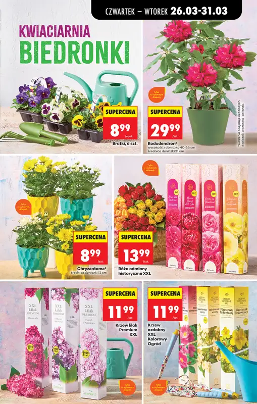 Biedronka - gazetka promocyjna Od czwartku, Z ladą tradycyjną od czwartku 26.03 do wtorku 31.03 - strona 89