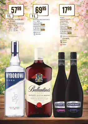 Dino - gazetka promocyjna Katalog alkoholowy / marzec-kwiecień 2026 od poniedziałku 30.03 do środy 08.04 - strona 33