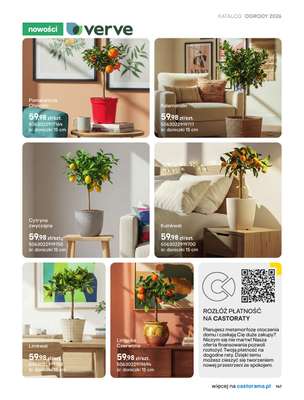 Castorama - gazetka promocyjna Uprawa od piątku 27.03 do wtorku 31.03 - strona 15