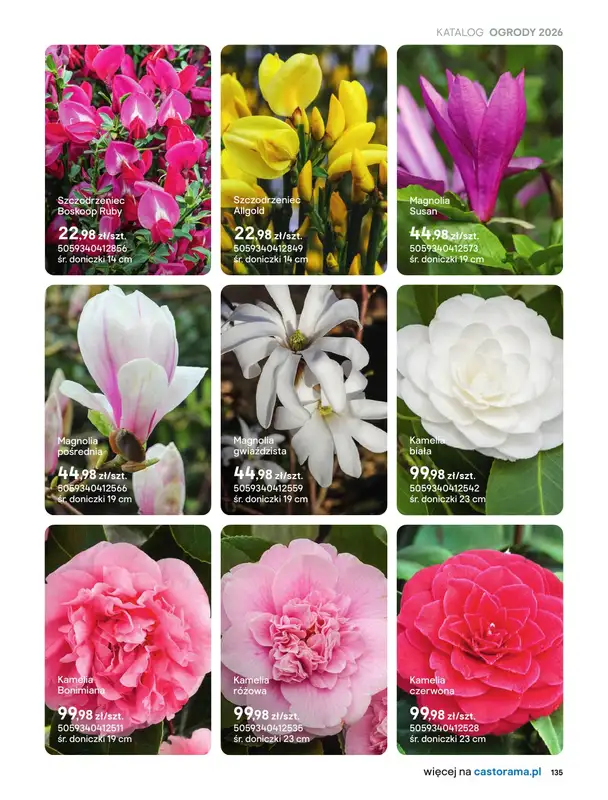 Castorama - gazetka promocyjna Uprawa od piątku 27.03 do wtorku 31.03 - strona 3