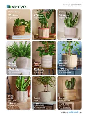 Castorama - gazetka promocyjna Uprawa od piątku 27.03 do wtorku 31.03 - strona 31