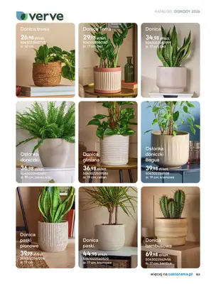 Castorama - gazetka promocyjna Uprawa od piątku 27.03 do wtorku 31.03 - strona 31