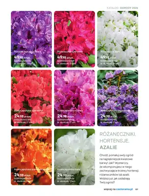 Castorama - gazetka promocyjna Uprawa od piątku 27.03 do wtorku 31.03 - strona 5