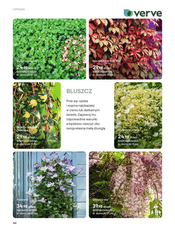 Castorama - gazetka promocyjna Uprawa od piątku 27.03 do wtorku 31.03 - strona 10