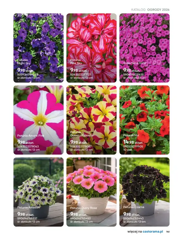 Castorama - gazetka promocyjna Uprawa od piątku 27.03 do wtorku 31.03 - strona 9