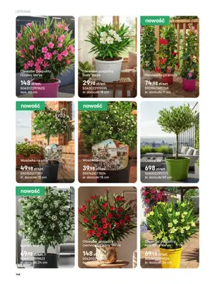 Castorama - gazetka promocyjna Uprawa od piątku 27.03 do wtorku 31.03 - strona 16