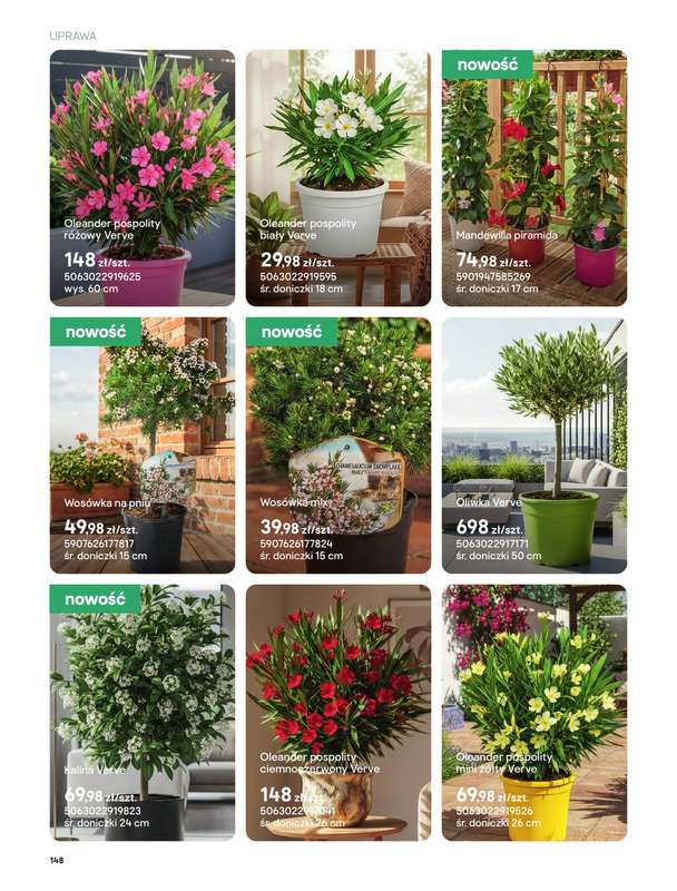 Castorama - gazetka promocyjna Uprawa od piątku 27.03 do wtorku 31.03 - strona 16