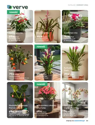 Castorama - gazetka promocyjna Uprawa od piątku 27.03 do wtorku 31.03 - strona 27