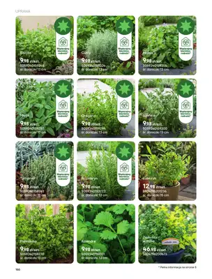 Castorama - gazetka promocyjna Uprawa od piątku 27.03 do wtorku 31.03 - strona 18