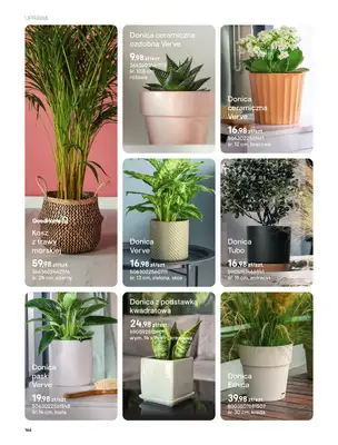 Castorama - gazetka promocyjna Uprawa od piątku 27.03 do wtorku 31.03 - strona 34