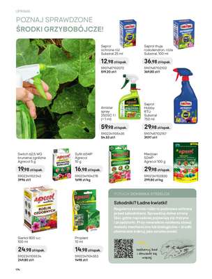 Castorama - gazetka promocyjna Uprawa od piątku 27.03 do wtorku 31.03 - strona 42