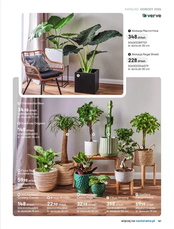 Castorama - gazetka promocyjna Uprawa od piątku 27.03 do wtorku 31.03 - strona 25