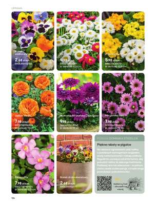 Castorama - gazetka promocyjna Uprawa od piątku 27.03 do wtorku 31.03 - strona 2