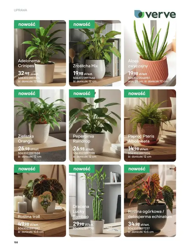 Castorama - gazetka promocyjna Uprawa od piątku 27.03 do wtorku 31.03 - strona 26