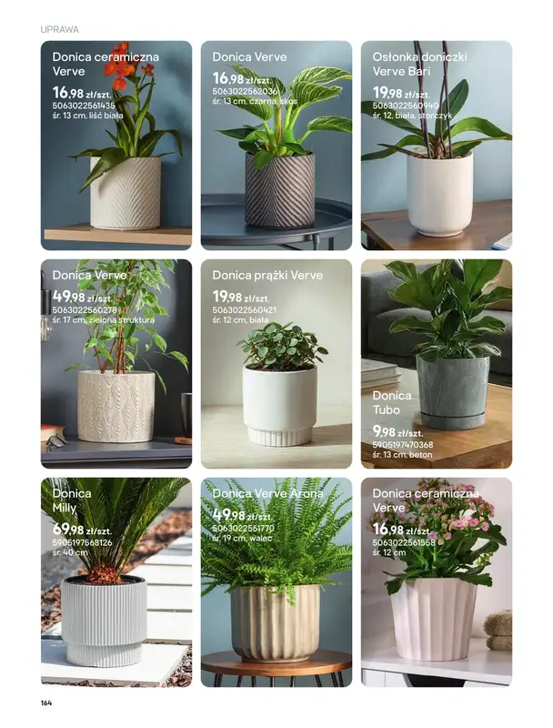 Castorama - gazetka promocyjna Uprawa od piątku 27.03 do wtorku 31.03 - strona 32