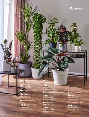 Castorama - gazetka promocyjna Uprawa od piątku 27.03 do wtorku 31.03 - strona 24