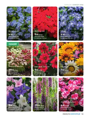Castorama - gazetka promocyjna Uprawa od piątku 27.03 do wtorku 31.03 - strona 13